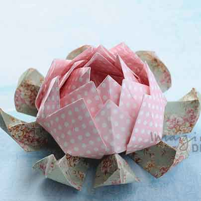 Where can you buy craft paper outlet