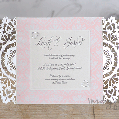 Amelia Paper in Pink ImagineDIY