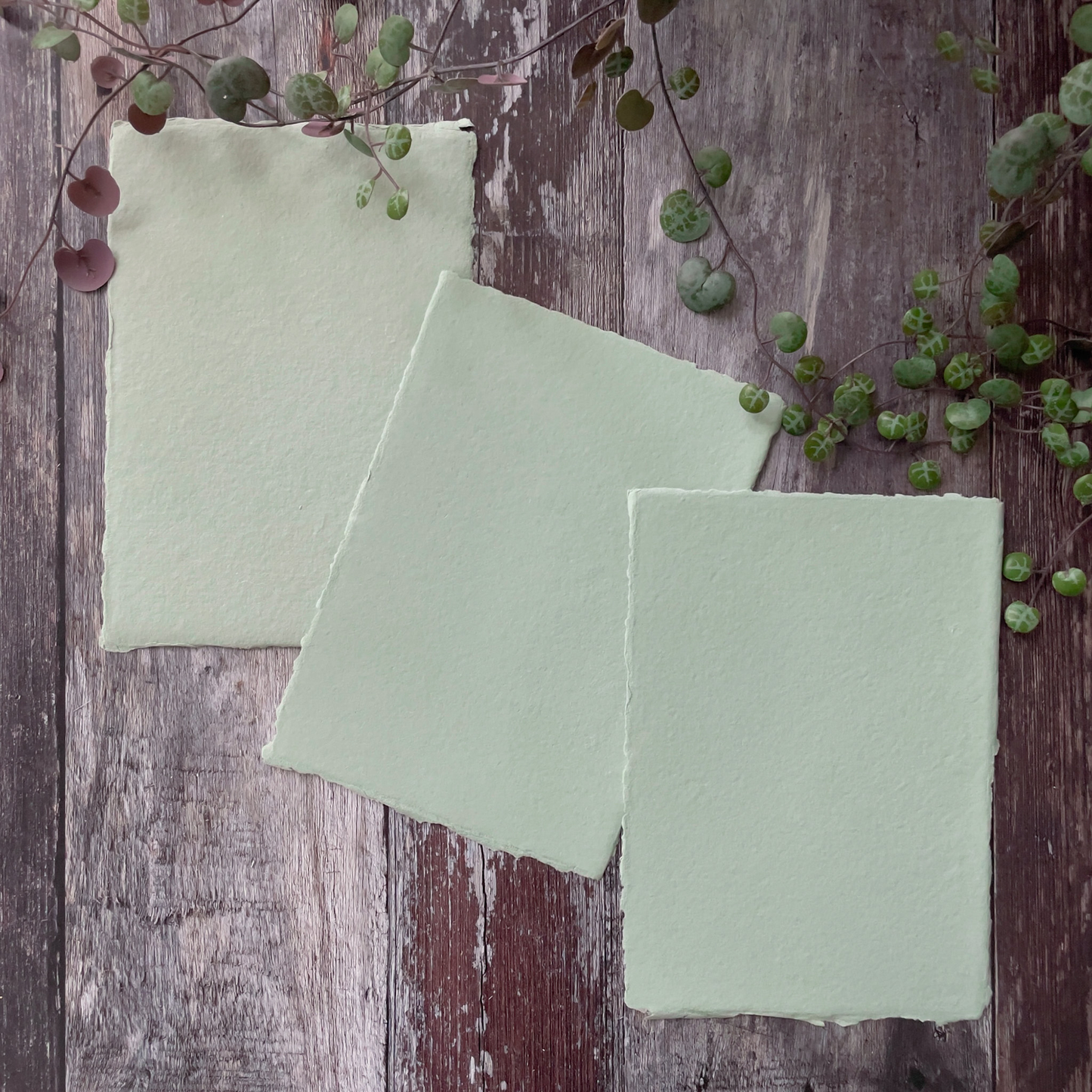 Dusty Green Handmade Paper, Card and Envelopes. (vegan)  ImagineDIY Paper A5 