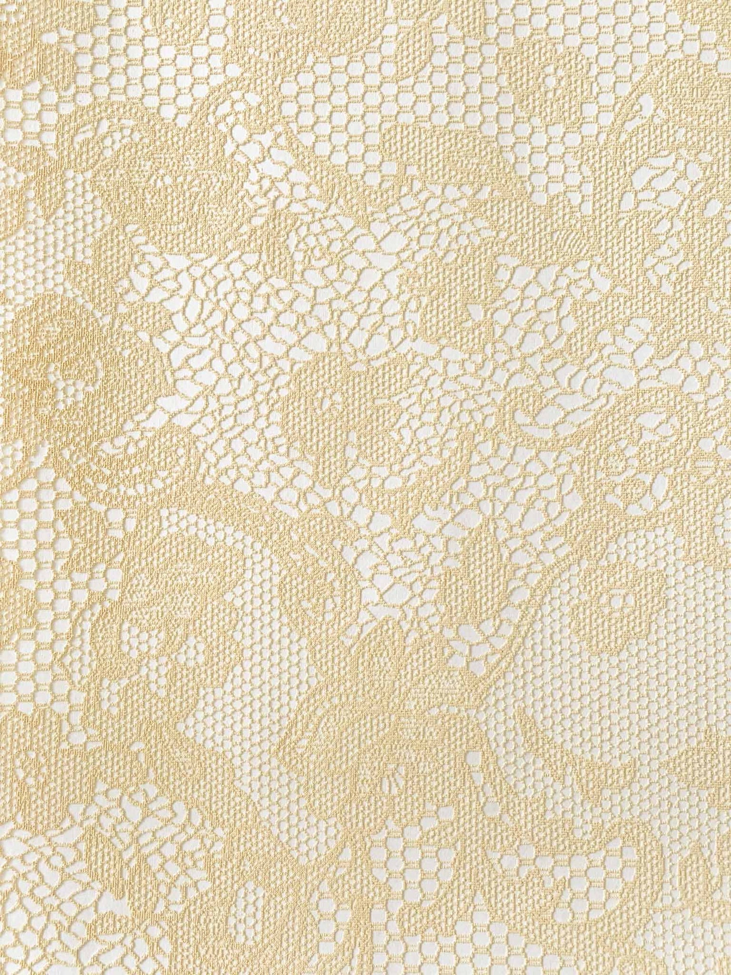 Chantilly Embossed Paper in Cream on White ImagineDIY