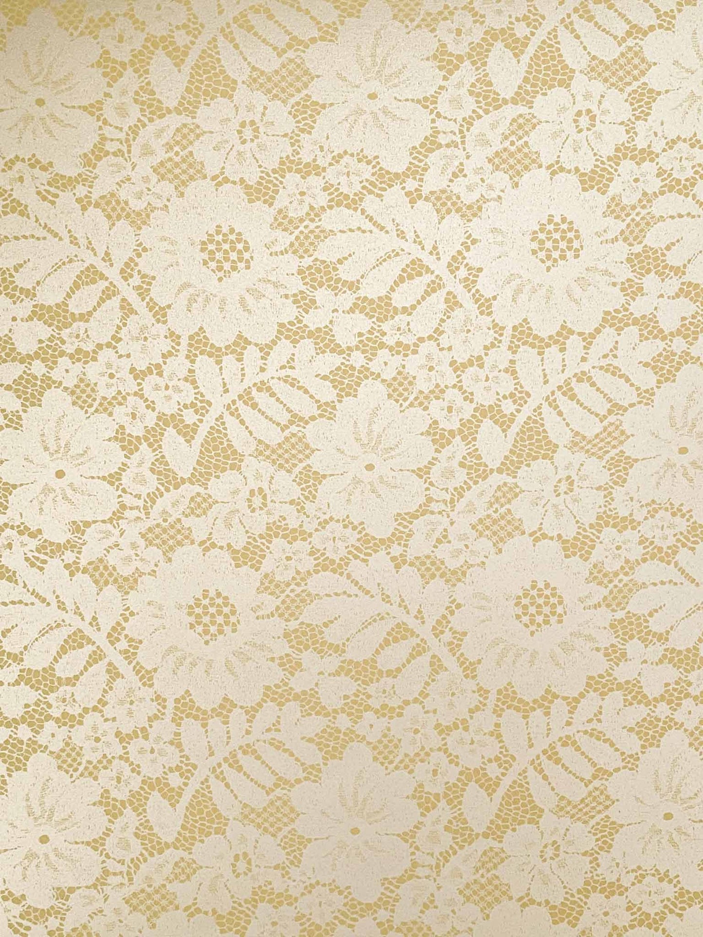 Chantilly Lace Paper in Cream ImagineDIY