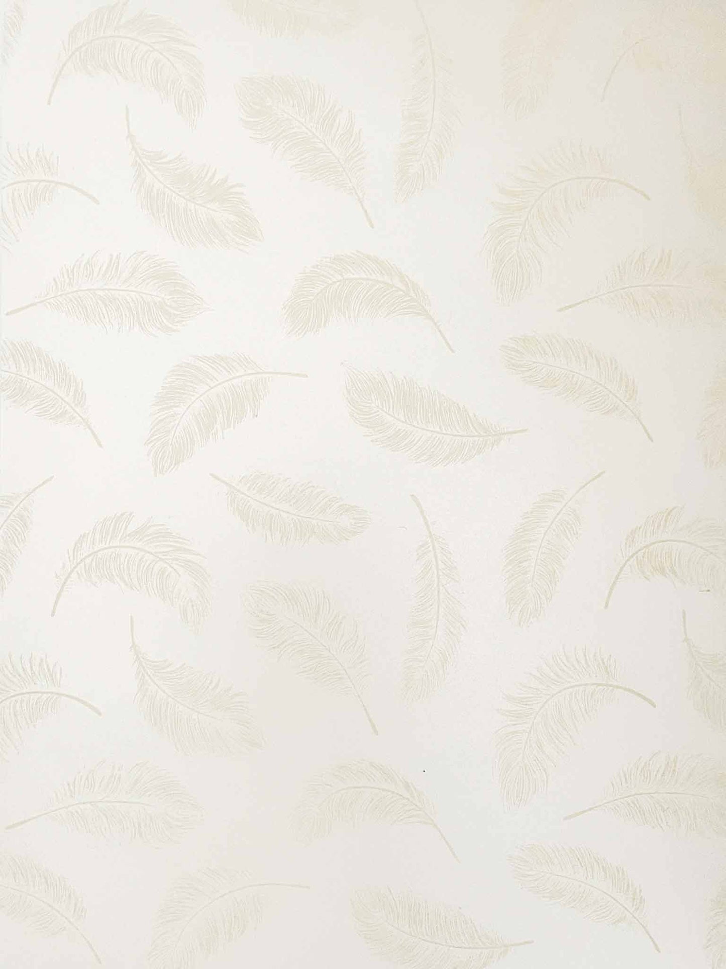Feathers Paper in Ivory ImagineDIY