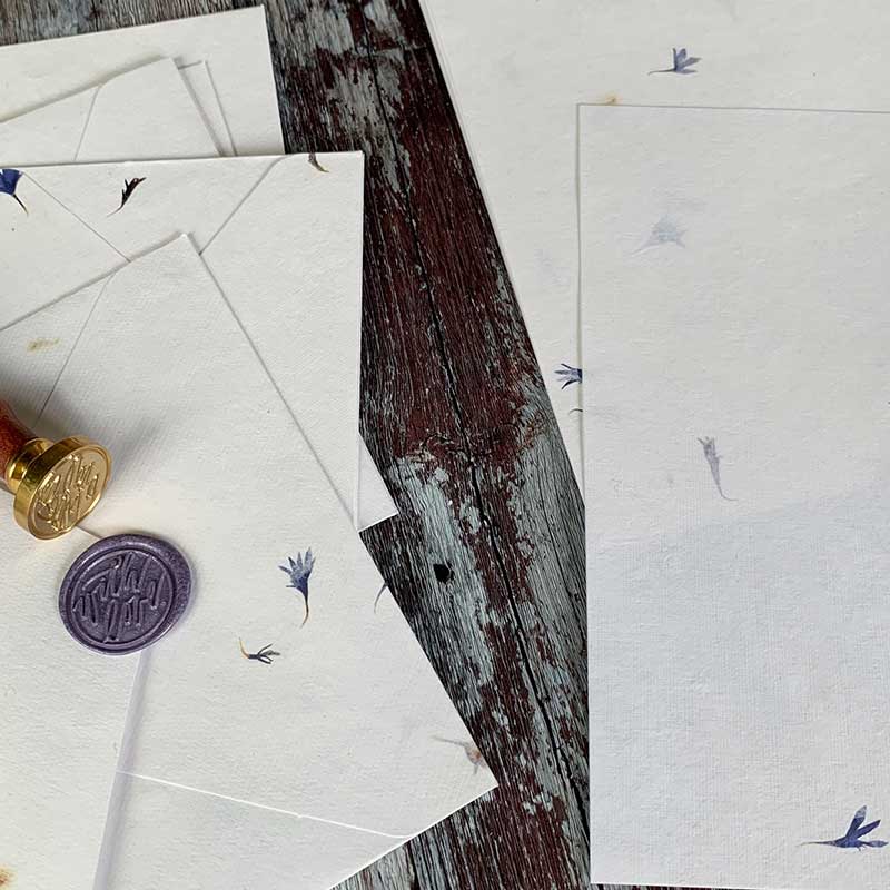 Cornflower - Floral Handmade Paper and Envelope Set  (Vegan)  ImagineDIY   