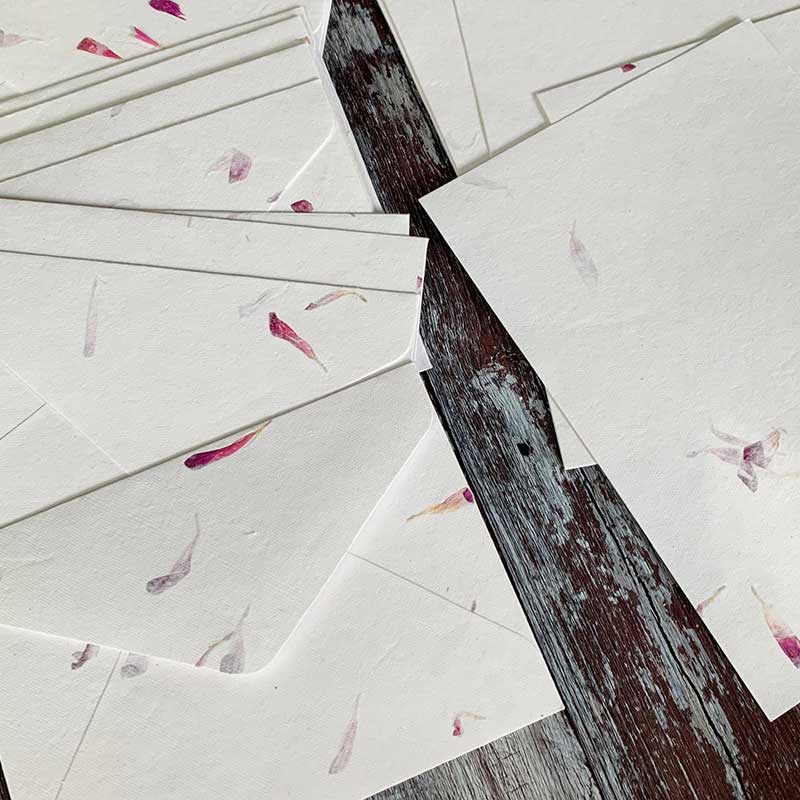 Aster - Floral Handmade Paper and Envelope Set.  (Vegan)  ImagineDIY   