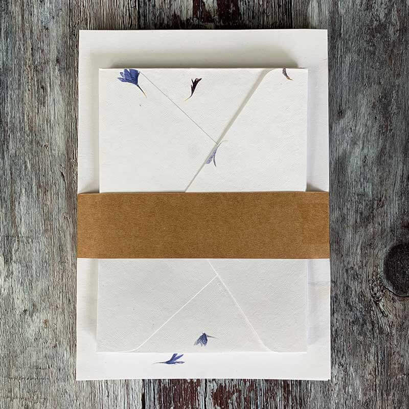 Cornflower - Floral Handmade Paper and Envelope Set  (Vegan)  ImagineDIY   