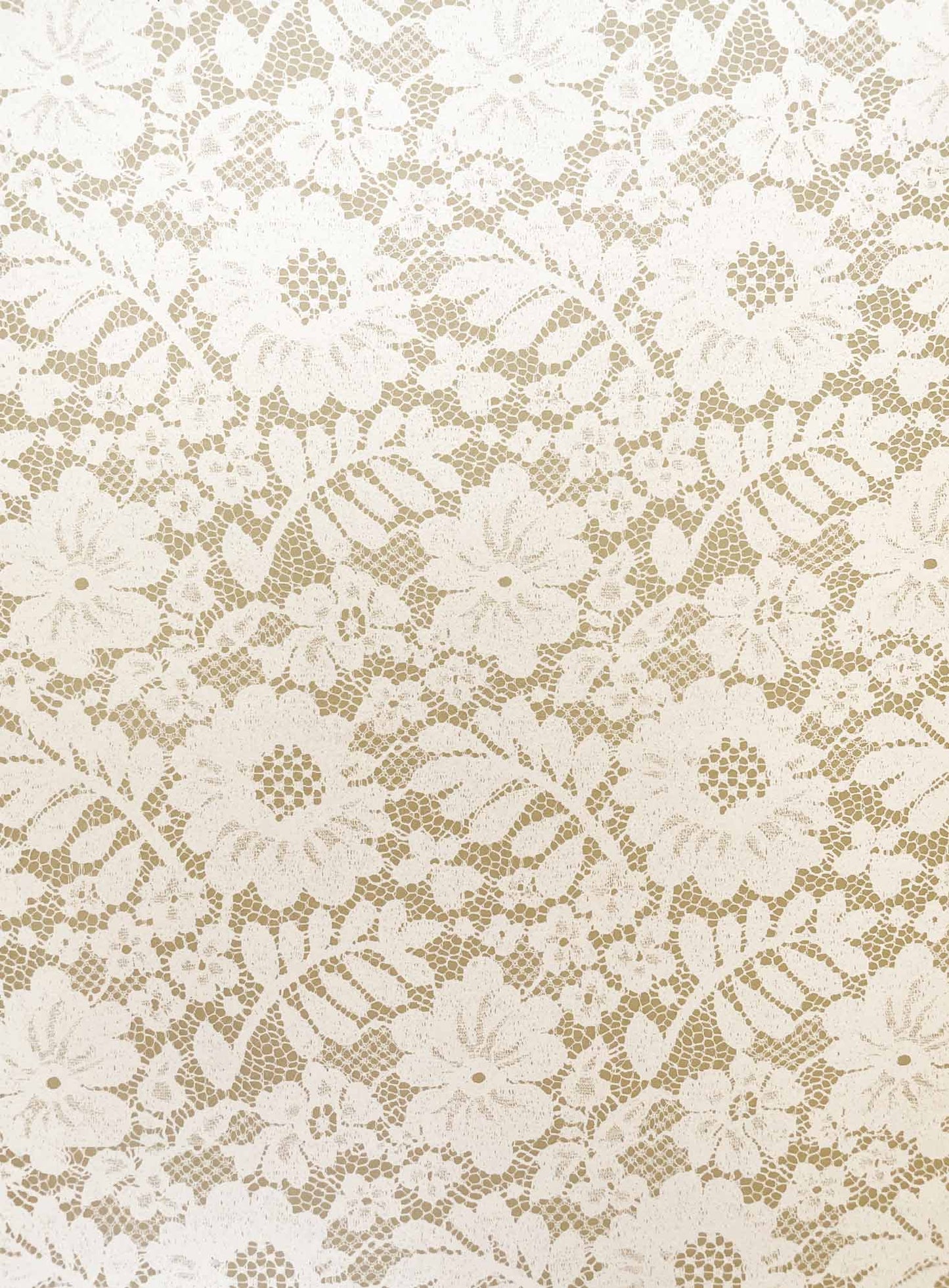 Chantilly Lace Paper in Biscuit ImagineDIY