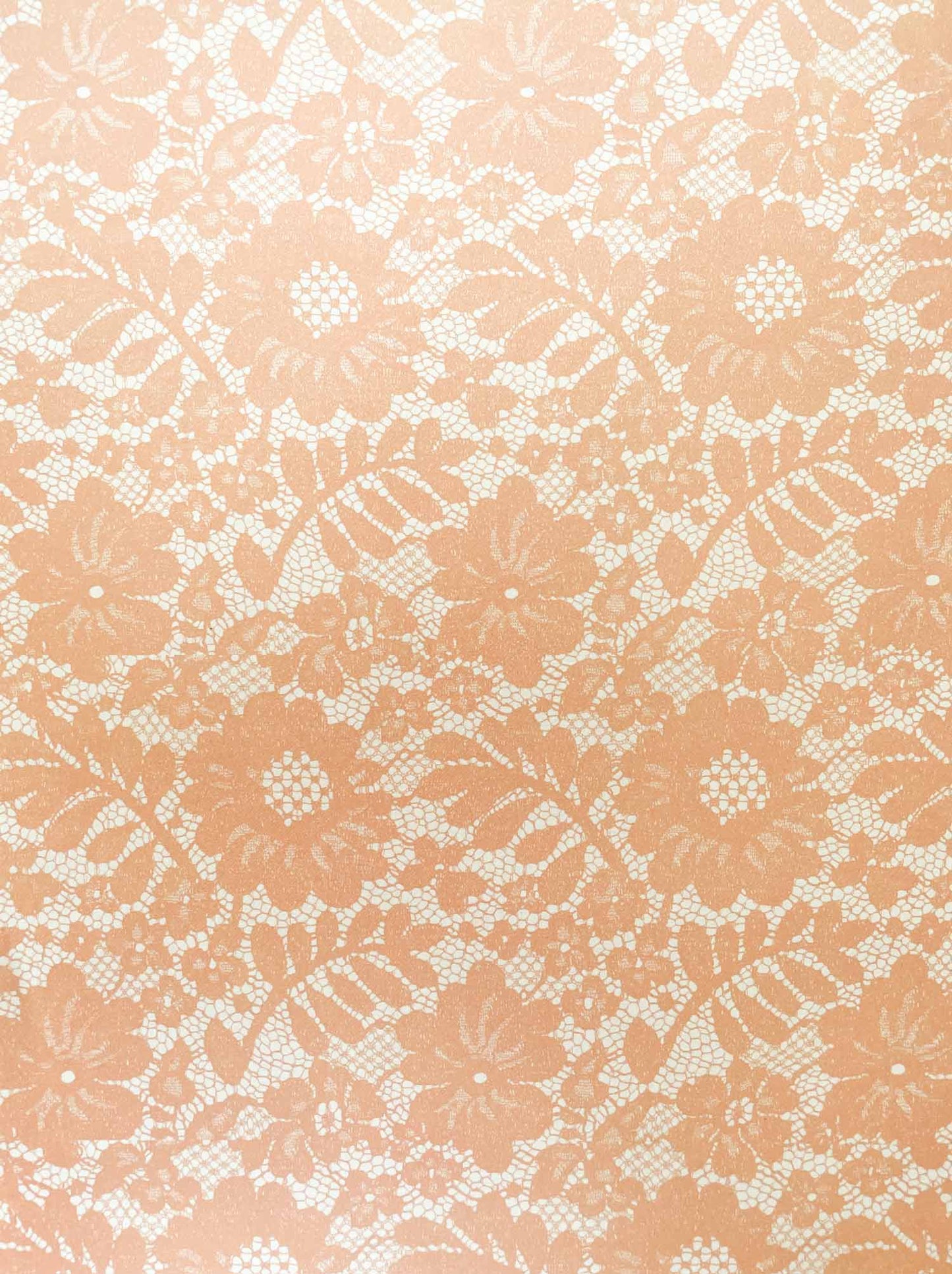 Chantilly Lace Paper in Blush  ImagineDIY   
