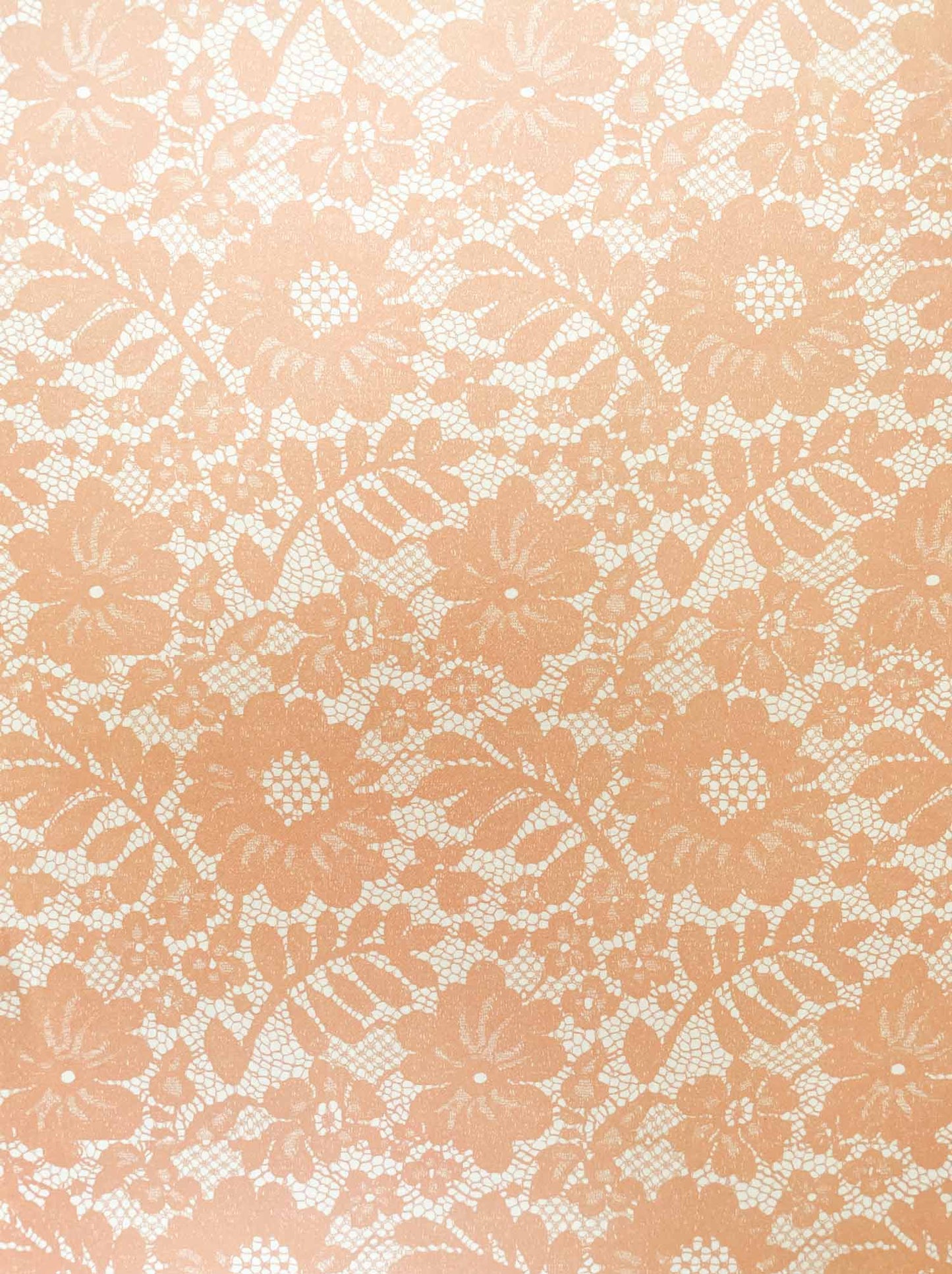 Chantilly Lace Paper in Blush ImagineDIY