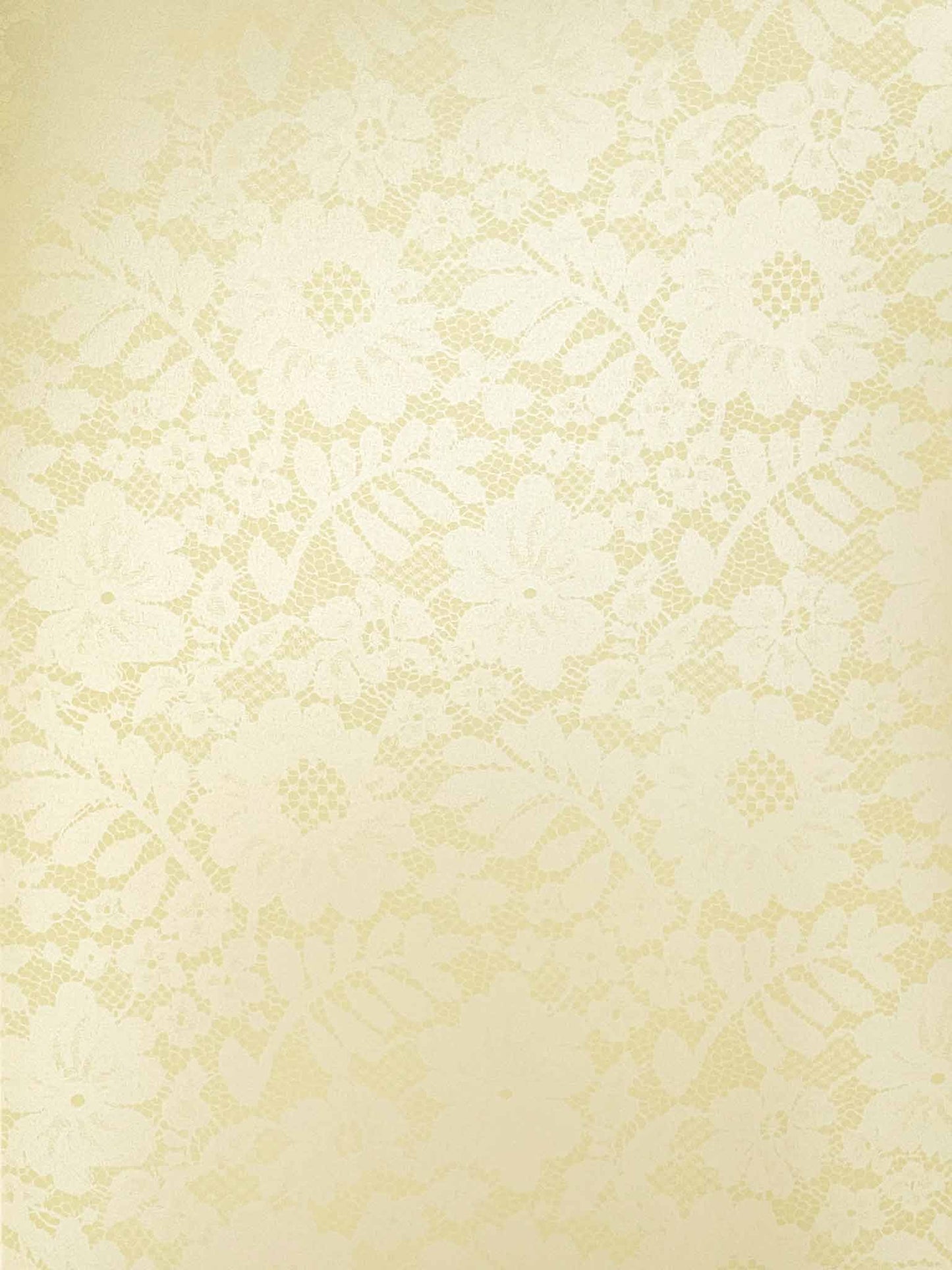 Chantilly Lace Paper in Light Cream  ImagineDIY   