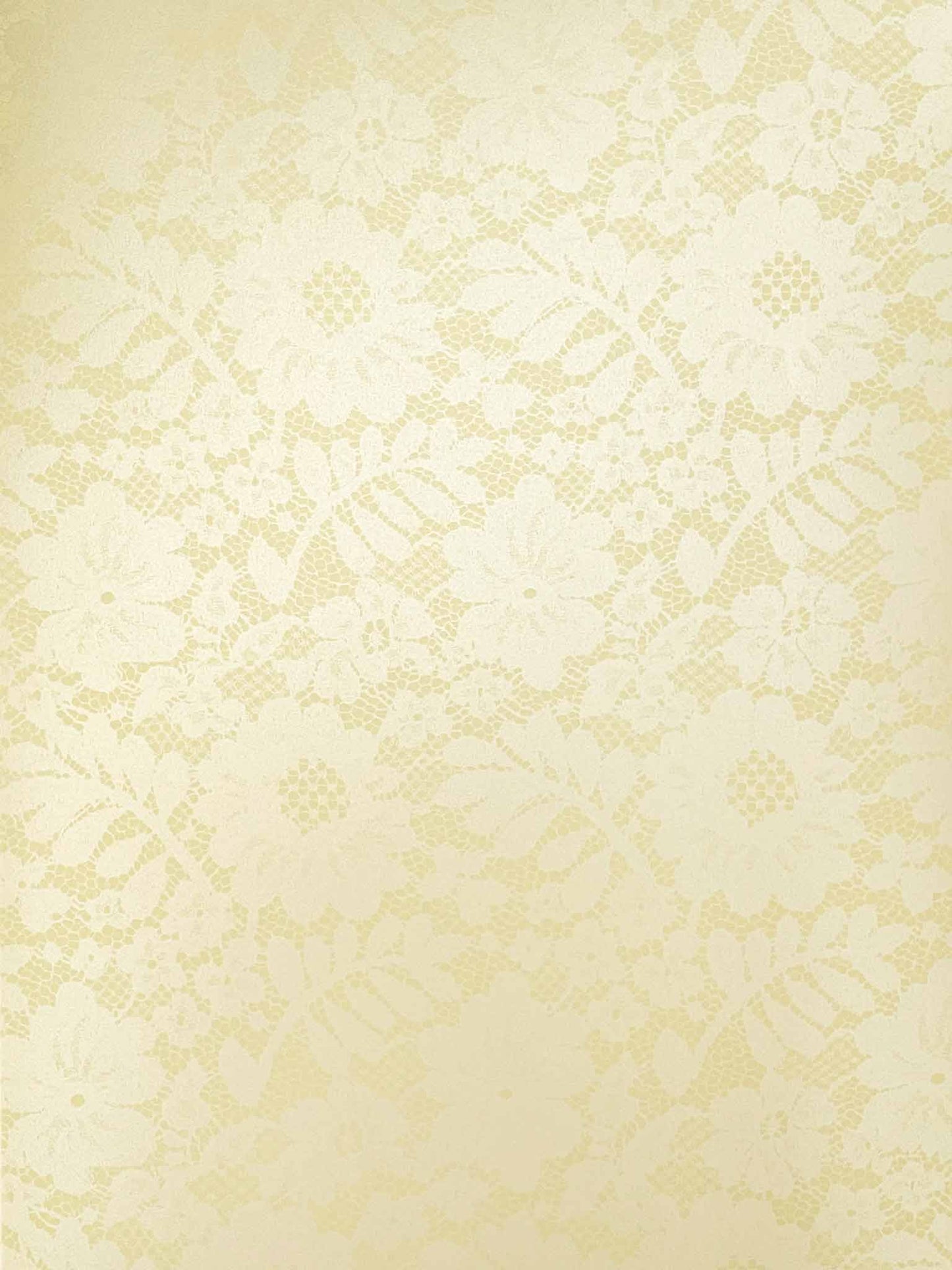 Chantilly Lace Paper in Light Cream ImagineDIY