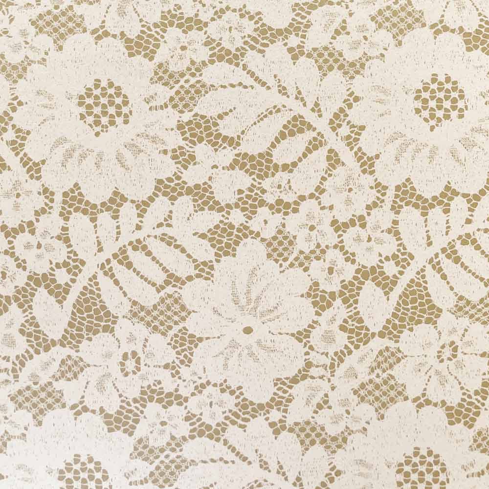 Chantilly Lace Paper in Biscuit  ImagineDIY   