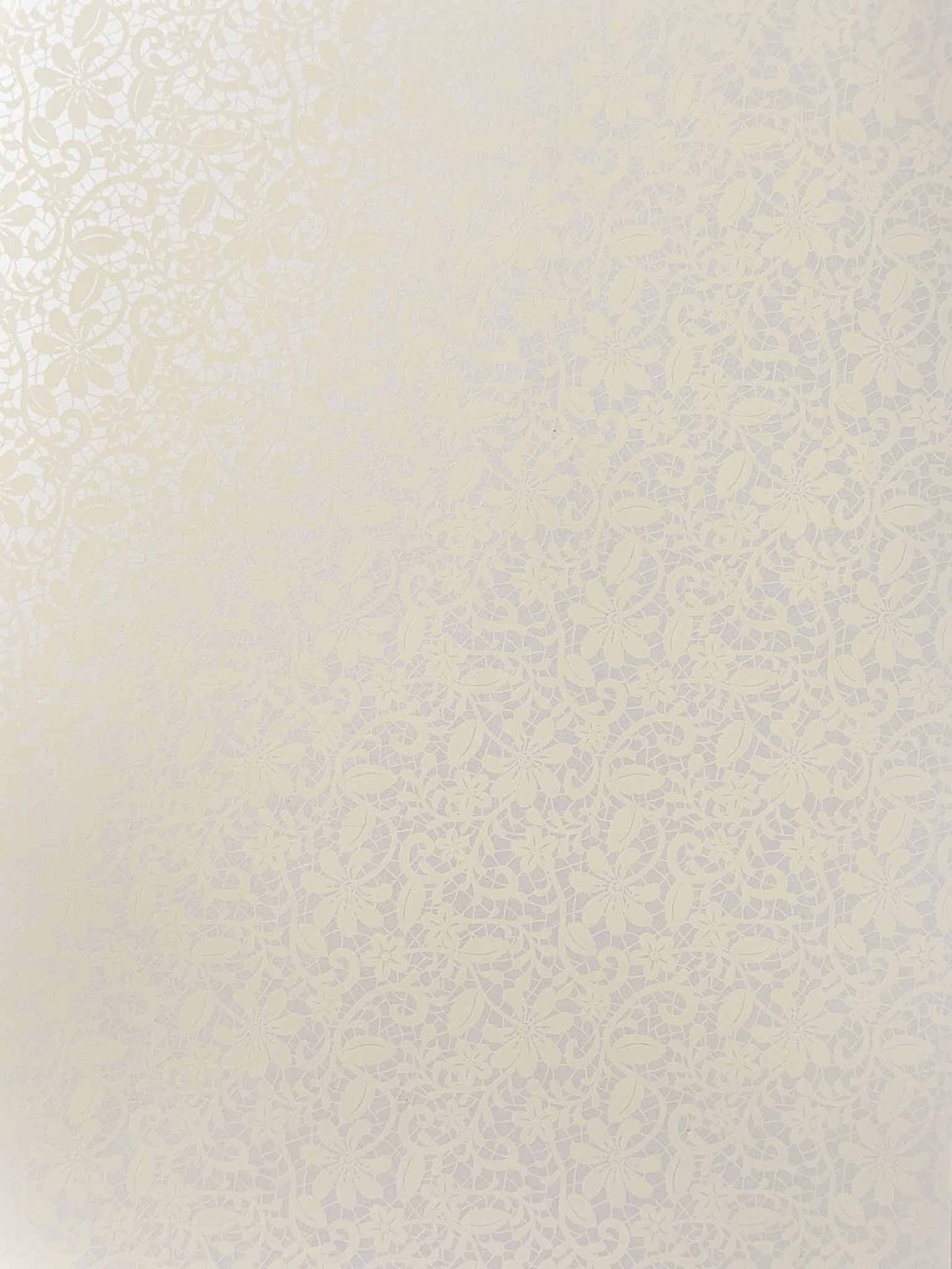Floral Lace White Paper ImagineDIY