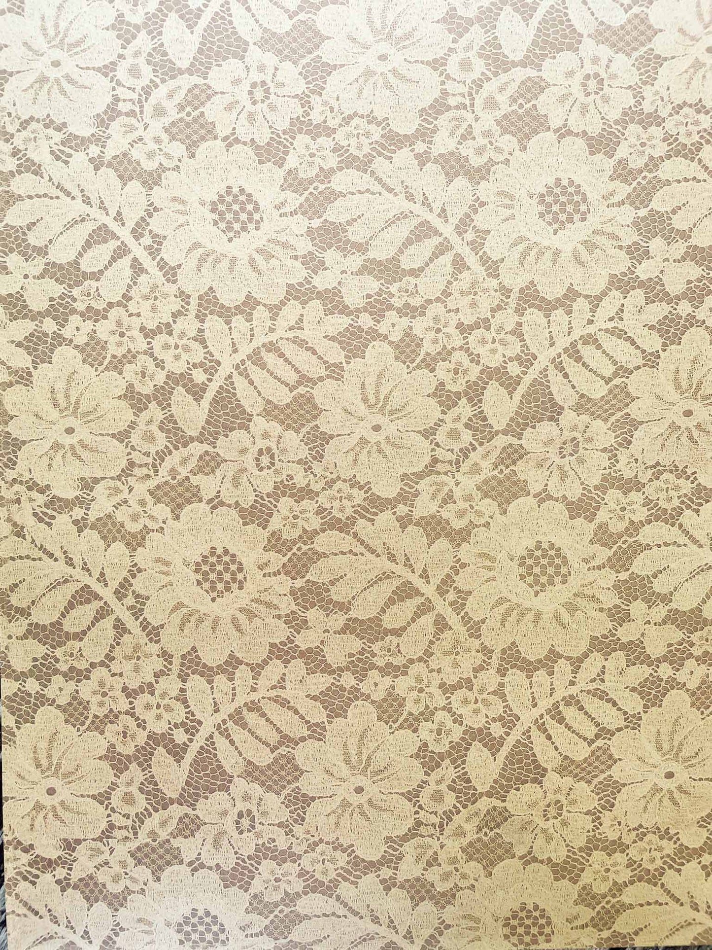 Chantilly Lace Paper in Antique ImagineDIY