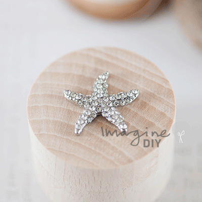Crystal Starfish  ImagineDIY Small  