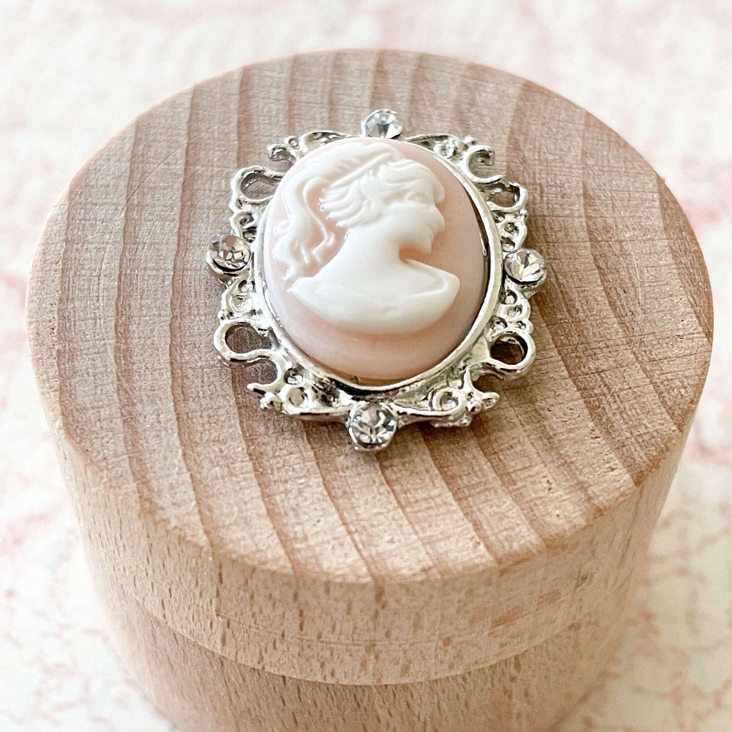 blush-pink-cameo-decoration-in-silver-frame