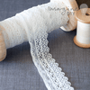 Wide Edging Lace  ImagineDIY 1 Meter  