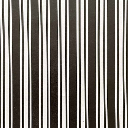 Classic Stripe Paper in Black and White  ImagineDIY   