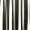 Classic Stripe Paper in Black and White  ImagineDIY   
