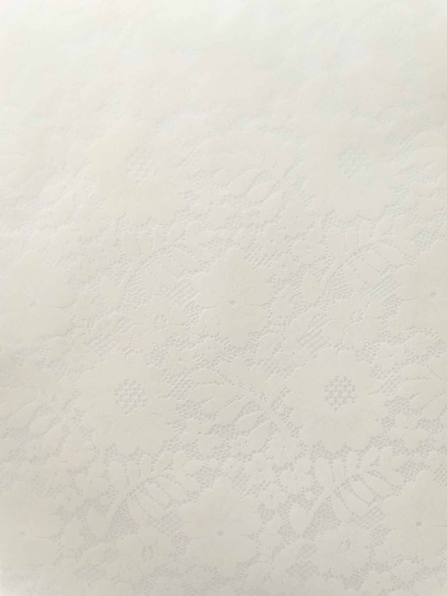 Chantilly Lace Vellum Paper White  ImagineDIY   