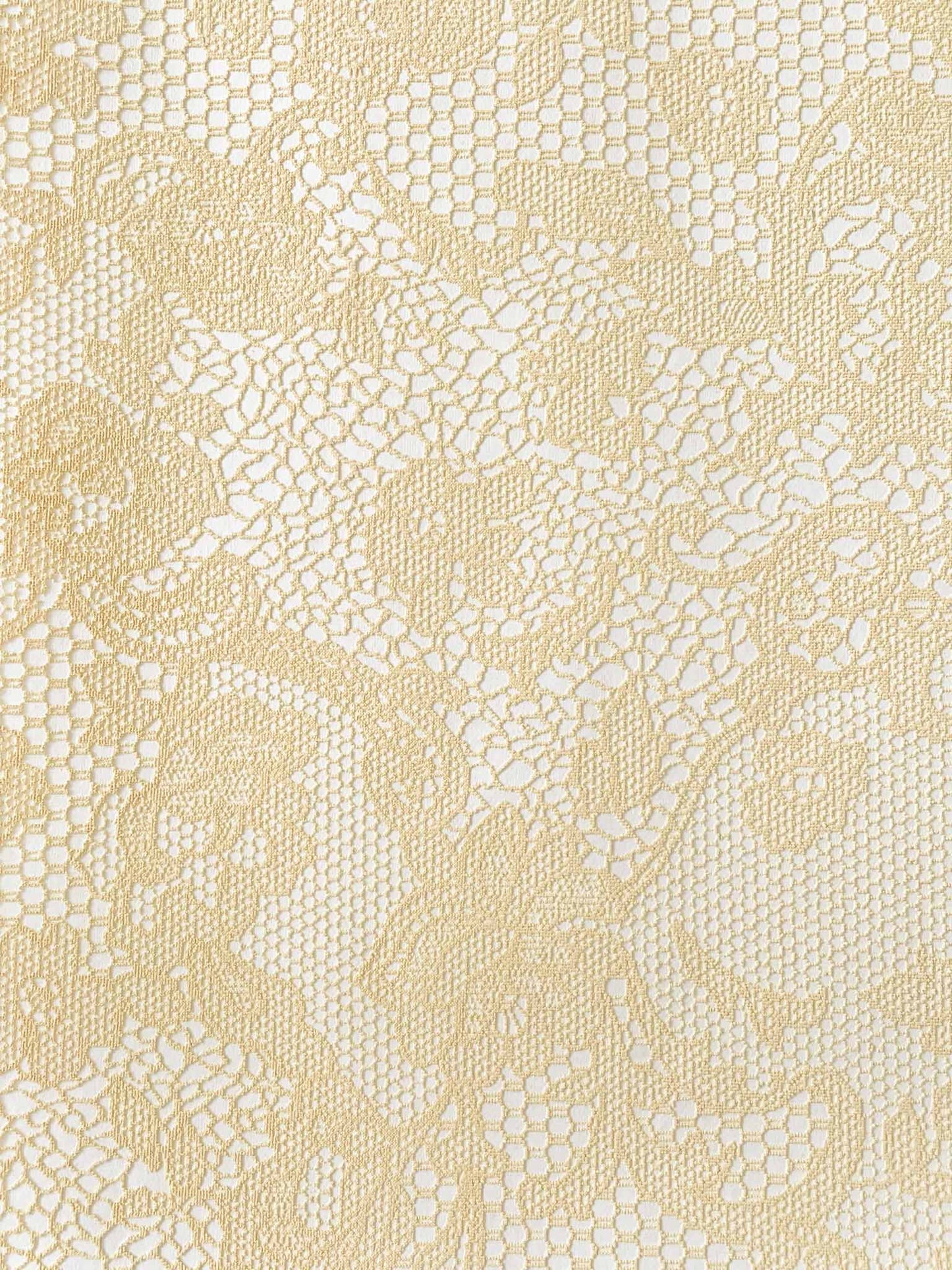 Chantilly Embossed Paper in Cream on White  ImagineDIY   