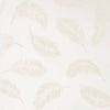 Feathers Paper in Ivory  ImagineDIY   