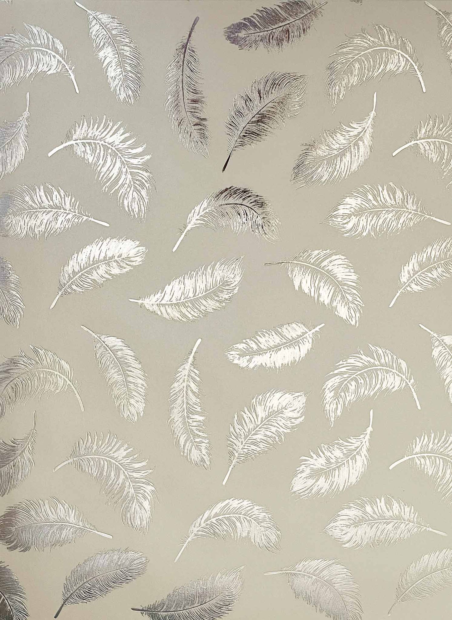 feathers-paper-with-silver-feather-pattern