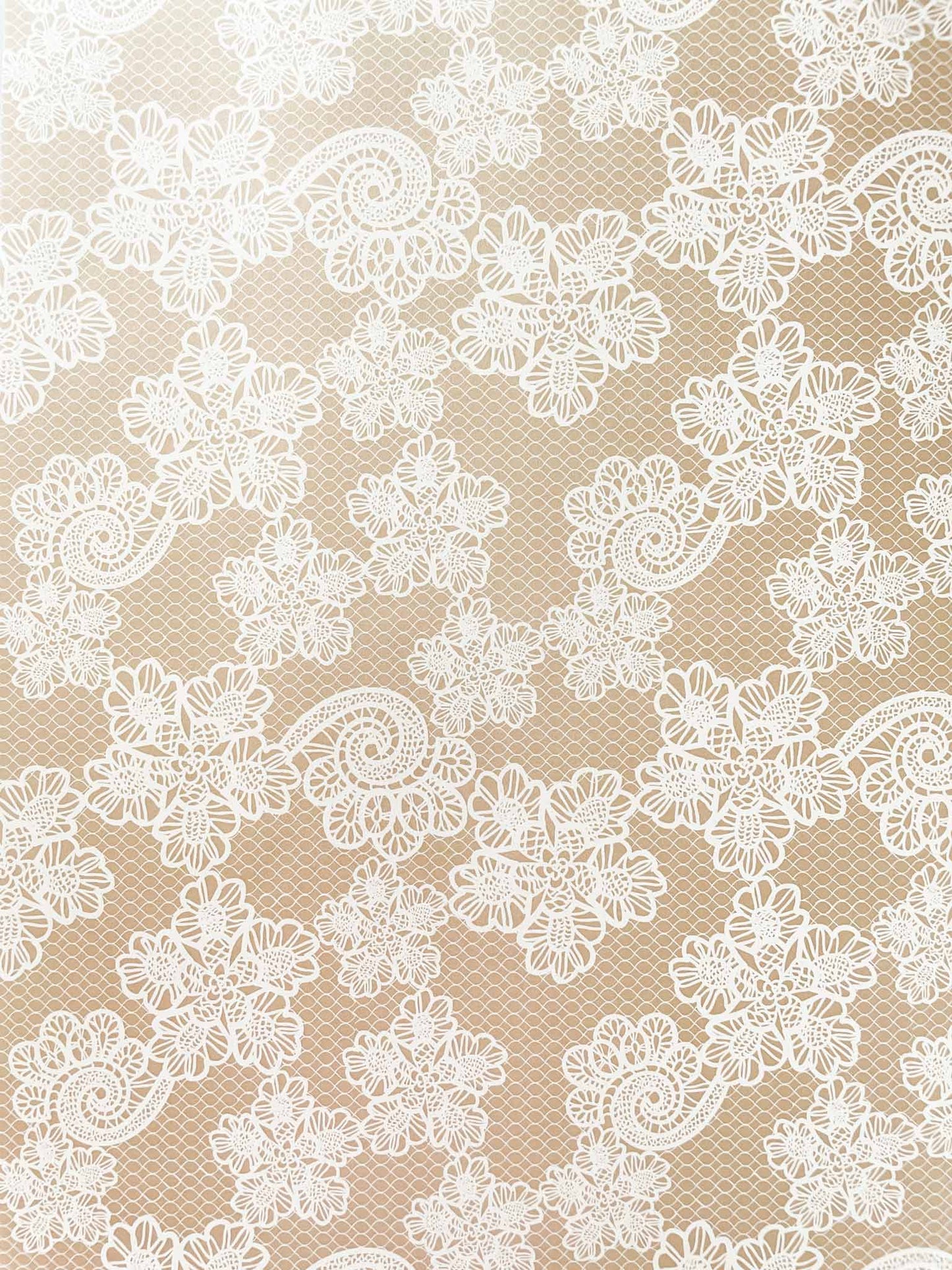 lace-pattern-paper-in-neutral-tones