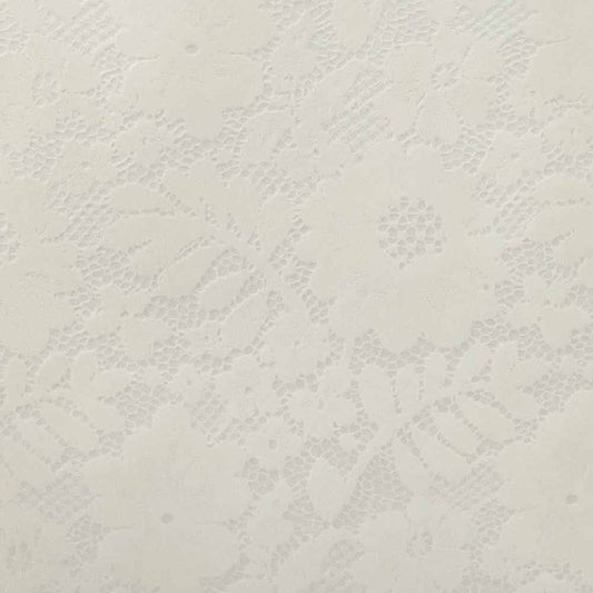 Chantilly Lace Vellum Paper White  ImagineDIY   