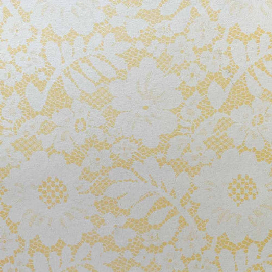 Chantilly Lace Paper in Soft Peach  ImagineDIY   