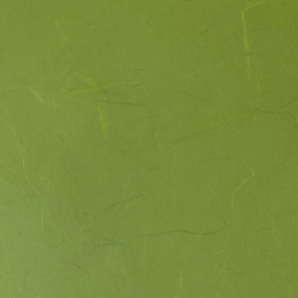 Moss Green Eco Friendly Mulberry Silk Paper - 70cm x 50cm  ImagineDIY   