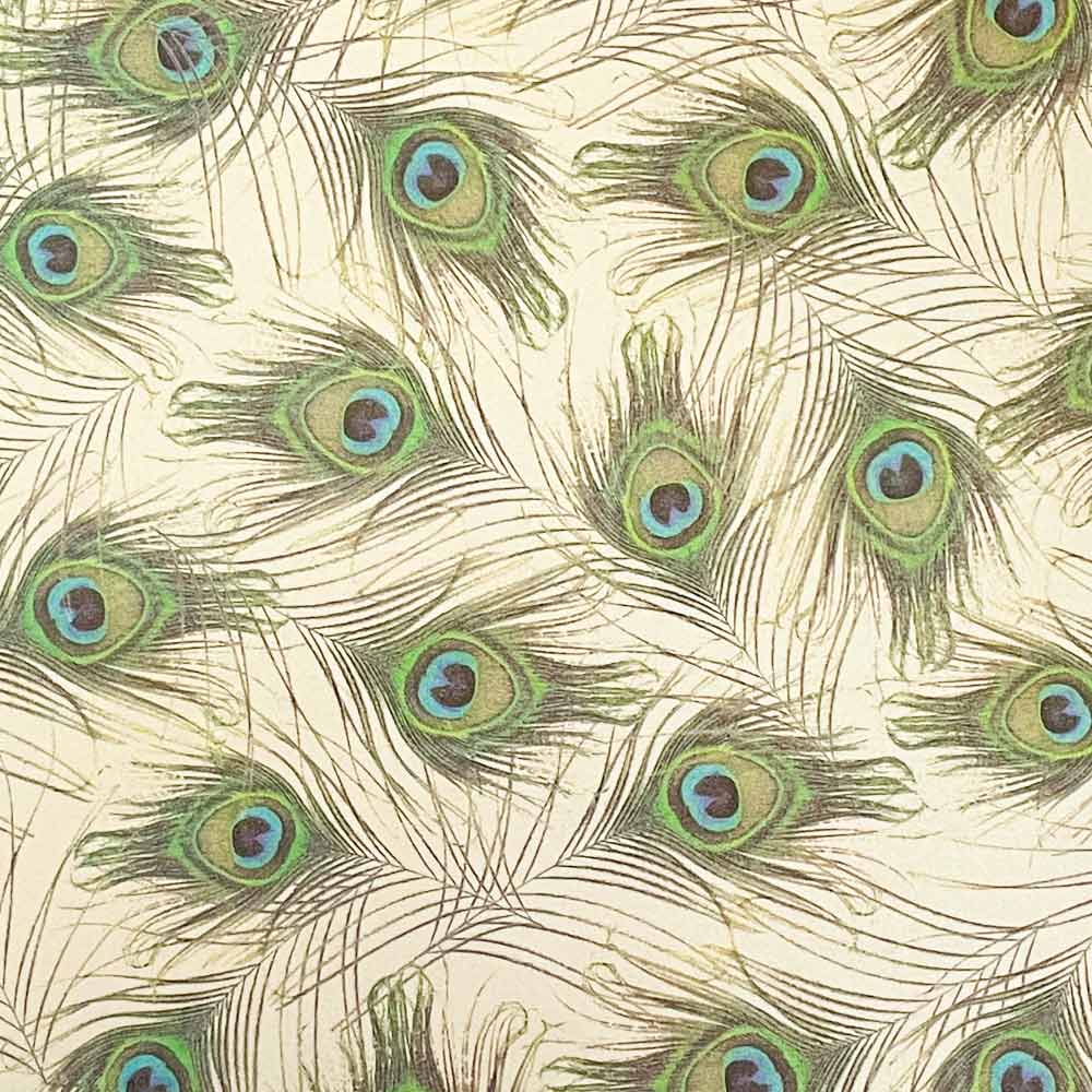 pavone-peacock-feather-paper