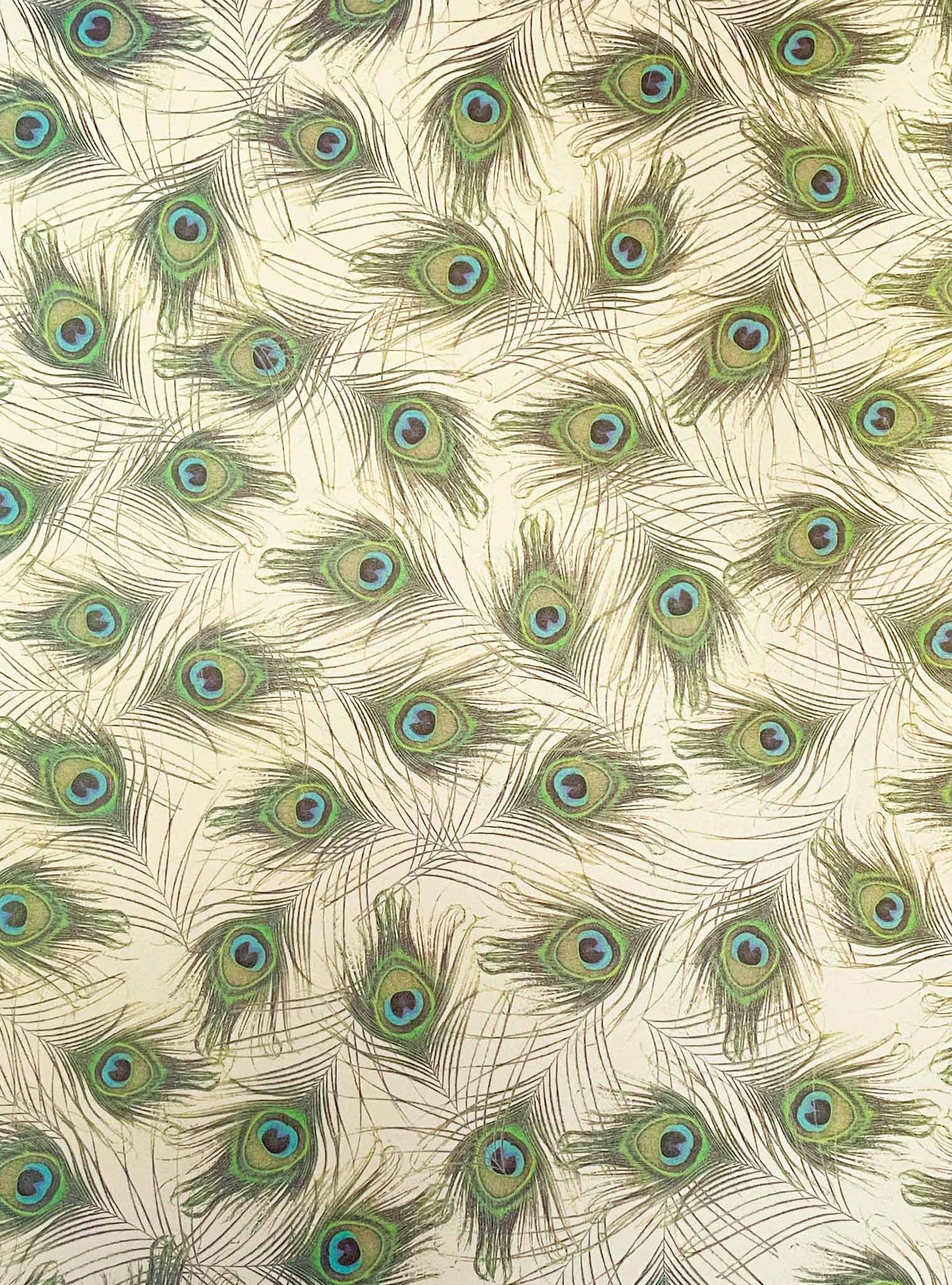 pavone-peacock-feather-patterned-paper