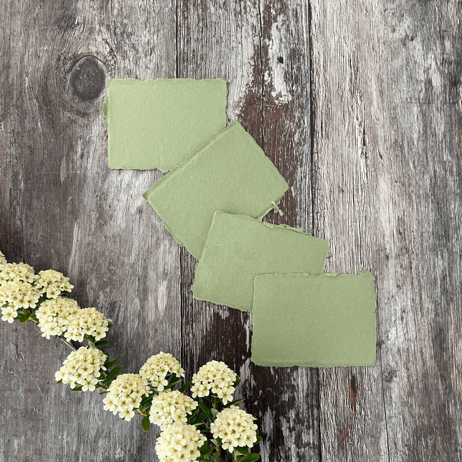 placecards-made-from-recycled-cotton-rag-paper-in-sage-green