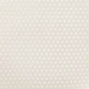 Polka Vellum Paper  ImagineDIY   