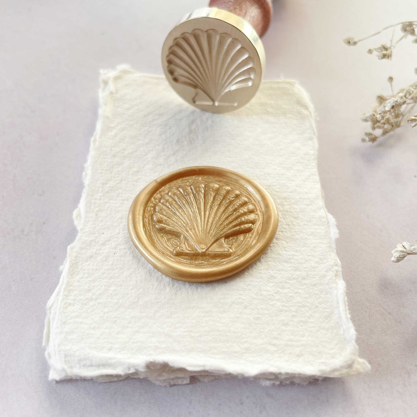 seashell-wax-stamp