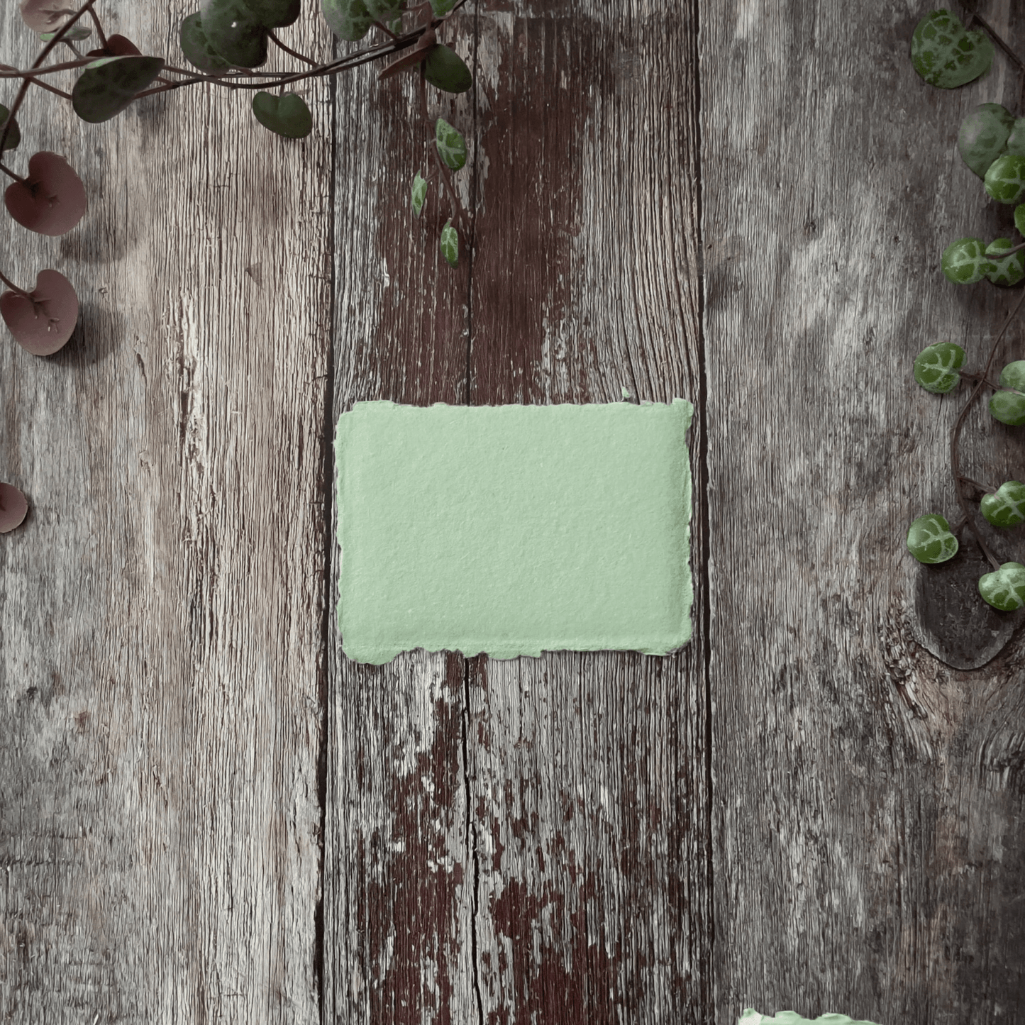 small-piece-of-handmade-card-for-placecards-in-dusjy-green