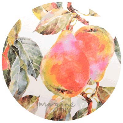 tate_art_print_decorative_paper_vintage_pears_fruit